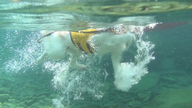 a0216469_1301772.jpg