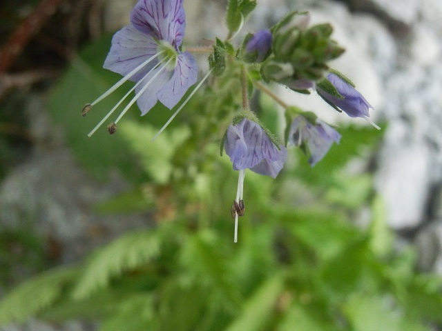 c0042869_2125782.jpg