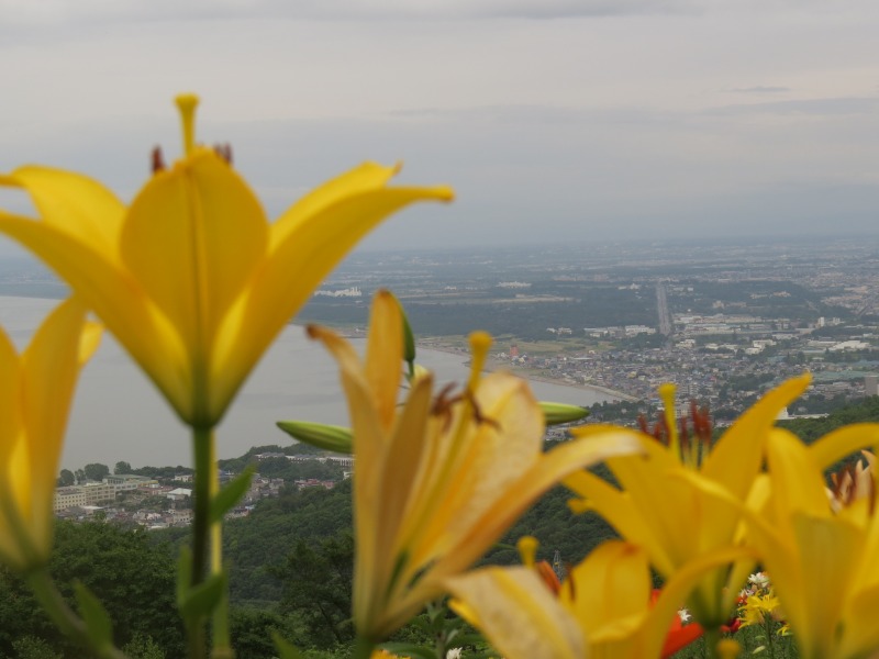 c0183777_7442613.jpg