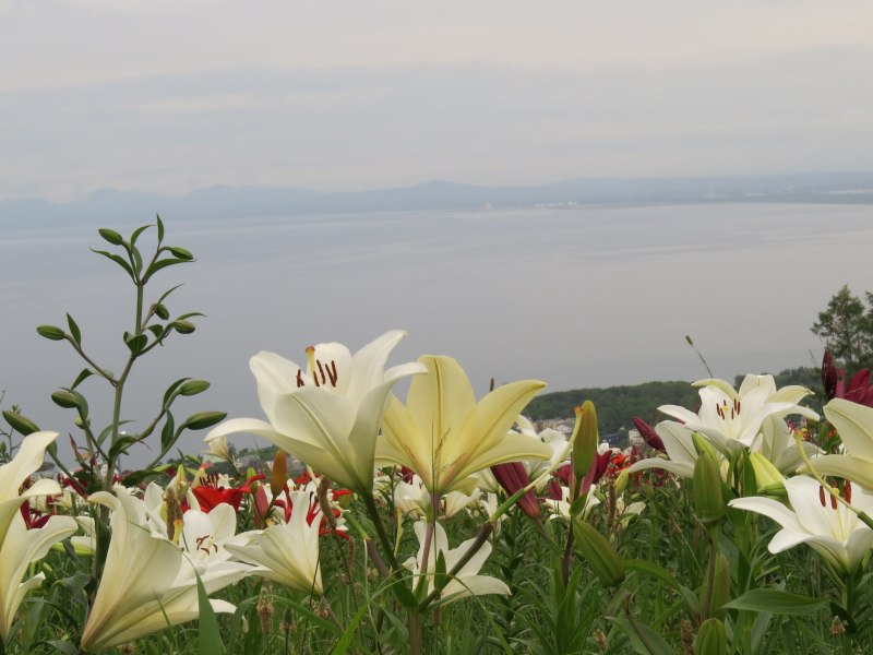 c0183777_7443888.jpg