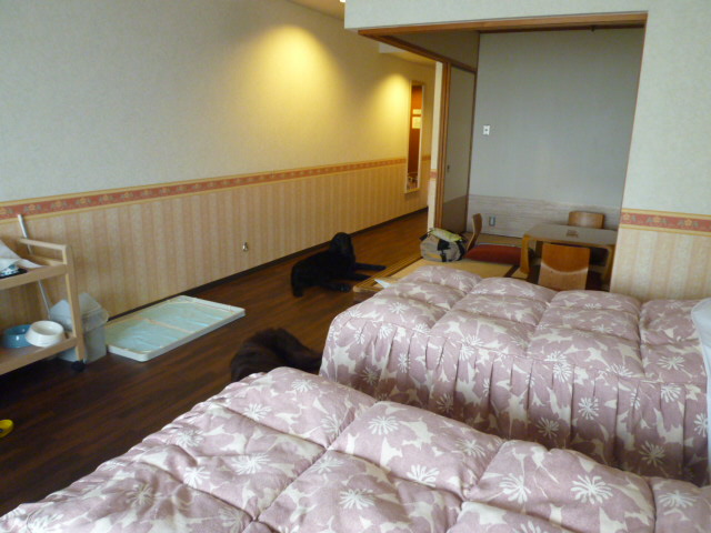 e0165577_11384121.jpg