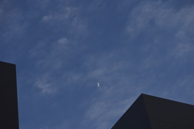 b0102780_6161365.jpg