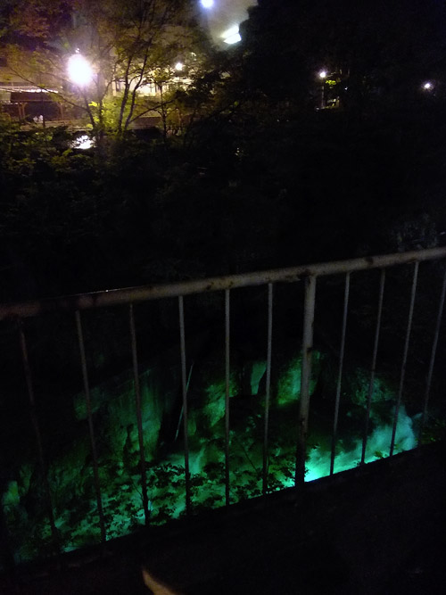 c0001491_1917828.jpg
