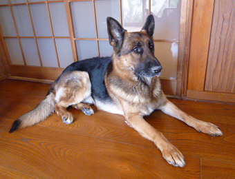 d0282395_13105318.png