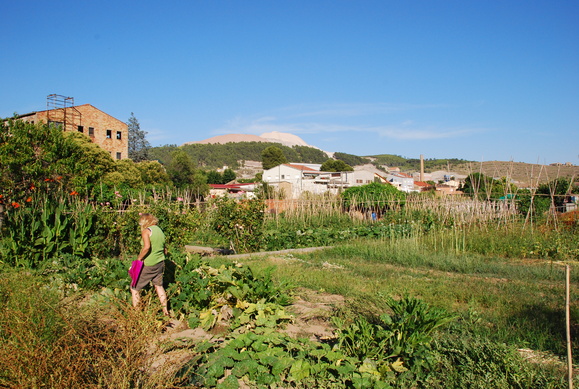 a0199297_6595159.jpg