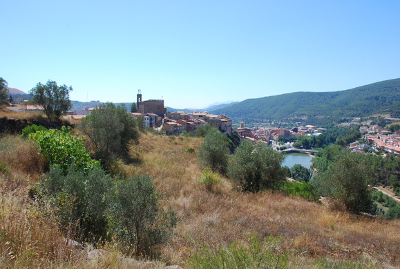 a0199297_8432126.jpg