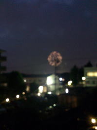 b0160300_20295333.jpg