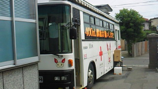 d0149105_1381023.jpg