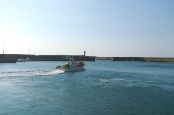 f0048405_16223658.jpg