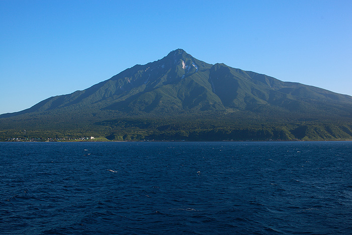 a0148606_17181754.jpg