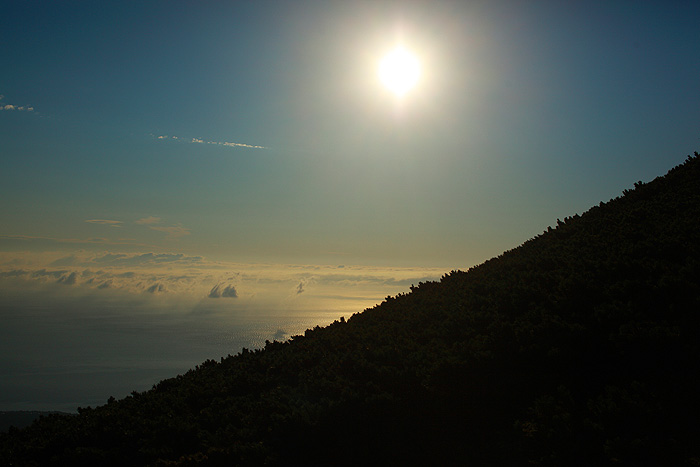 a0148606_2126461.jpg