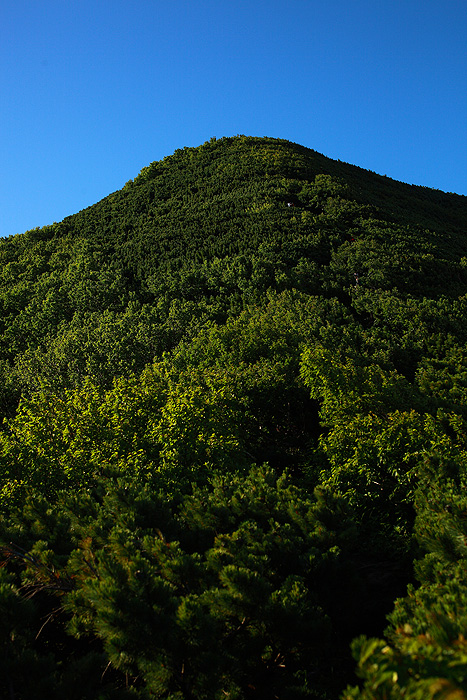 a0148606_21275314.jpg