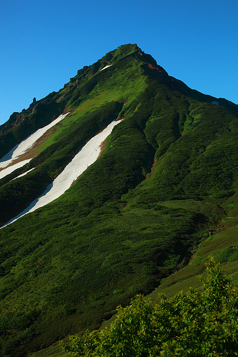 a0148606_2128229.jpg