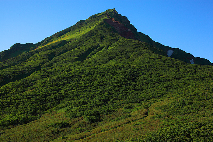 a0148606_2131537.jpg