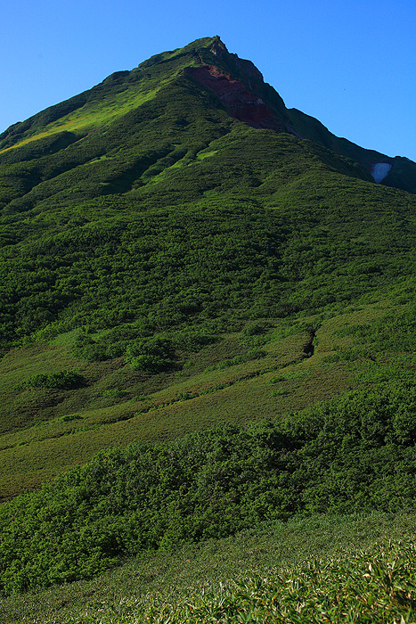 a0148606_2132236.jpg