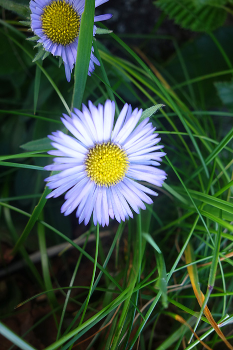 a0148606_2139257.jpg