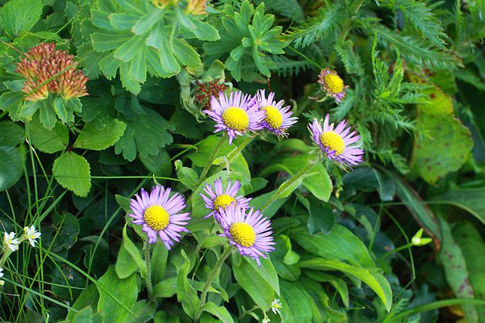 a0148606_2139661.jpg