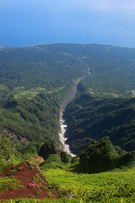 a0148606_21454938.jpg
