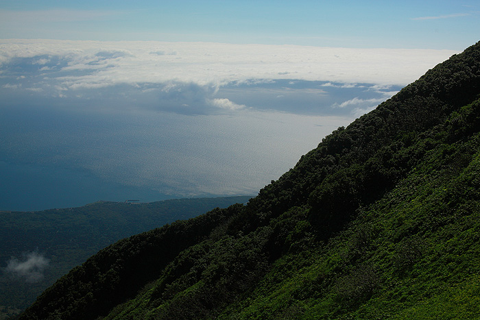 a0148606_21465242.jpg