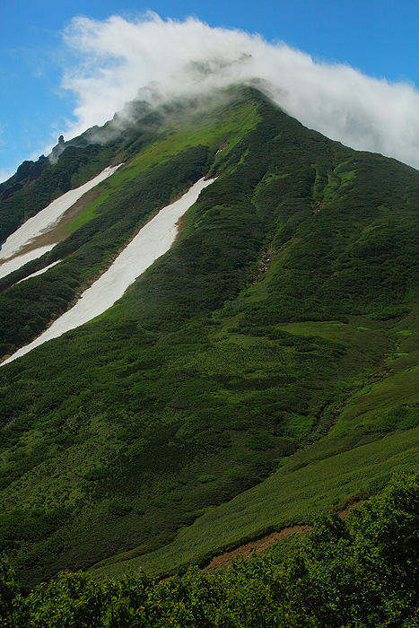 a0148606_2154766.jpg