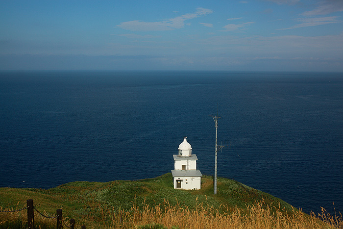 a0148606_22335274.jpg