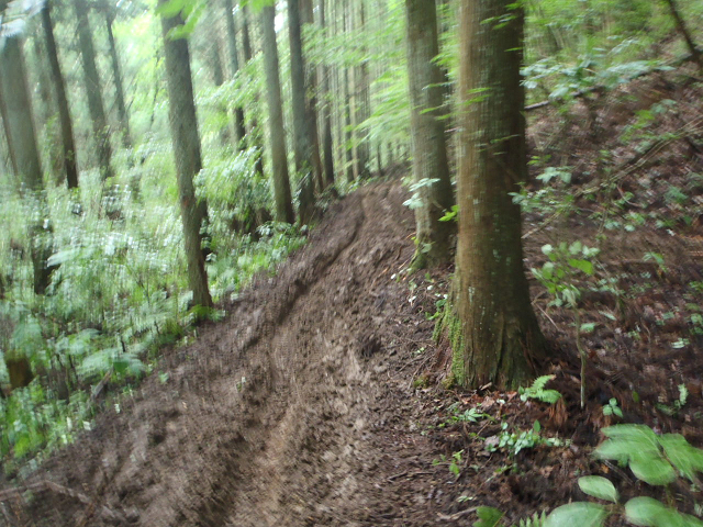 c0223419_1355034.jpg