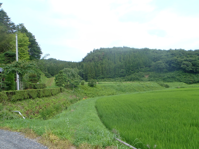 c0223419_139625.jpg