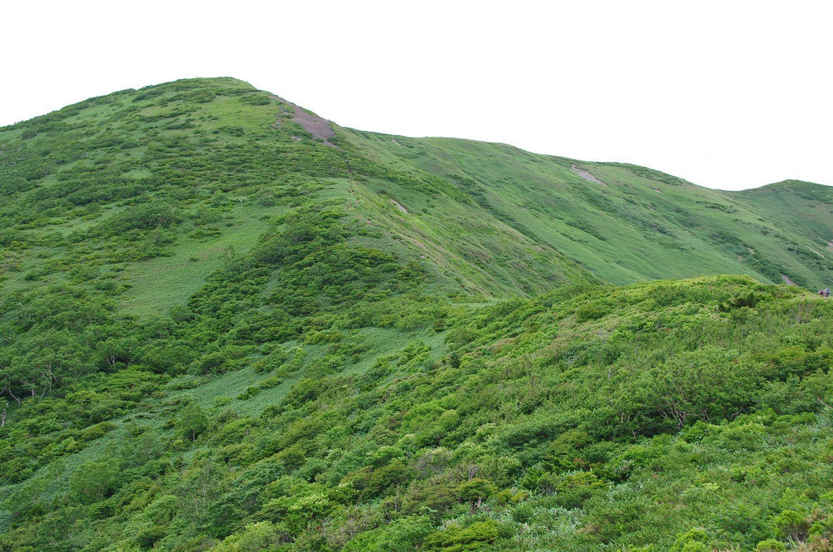 b0062024_22341842.jpg