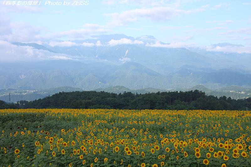 a0195032_965265.jpg