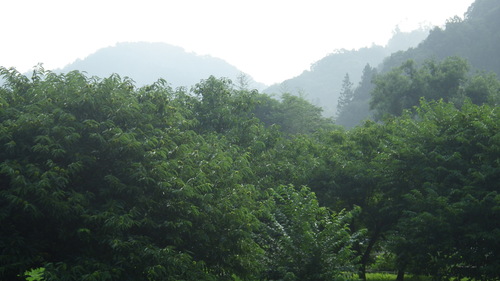 c0300035_11525618.jpg
