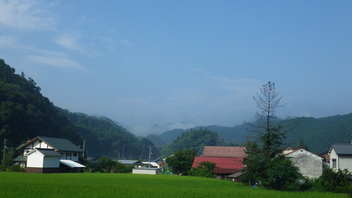 c0300035_1152576.jpg