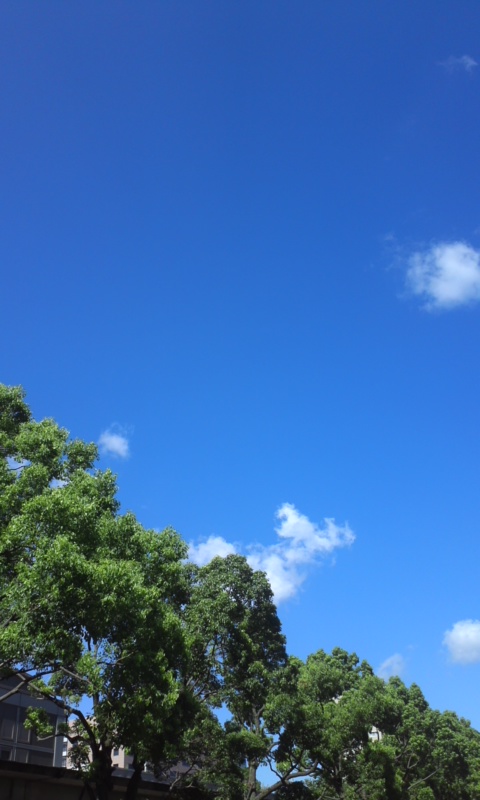 d0088735_15524451.jpg