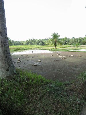 c0148238_1365328.jpg