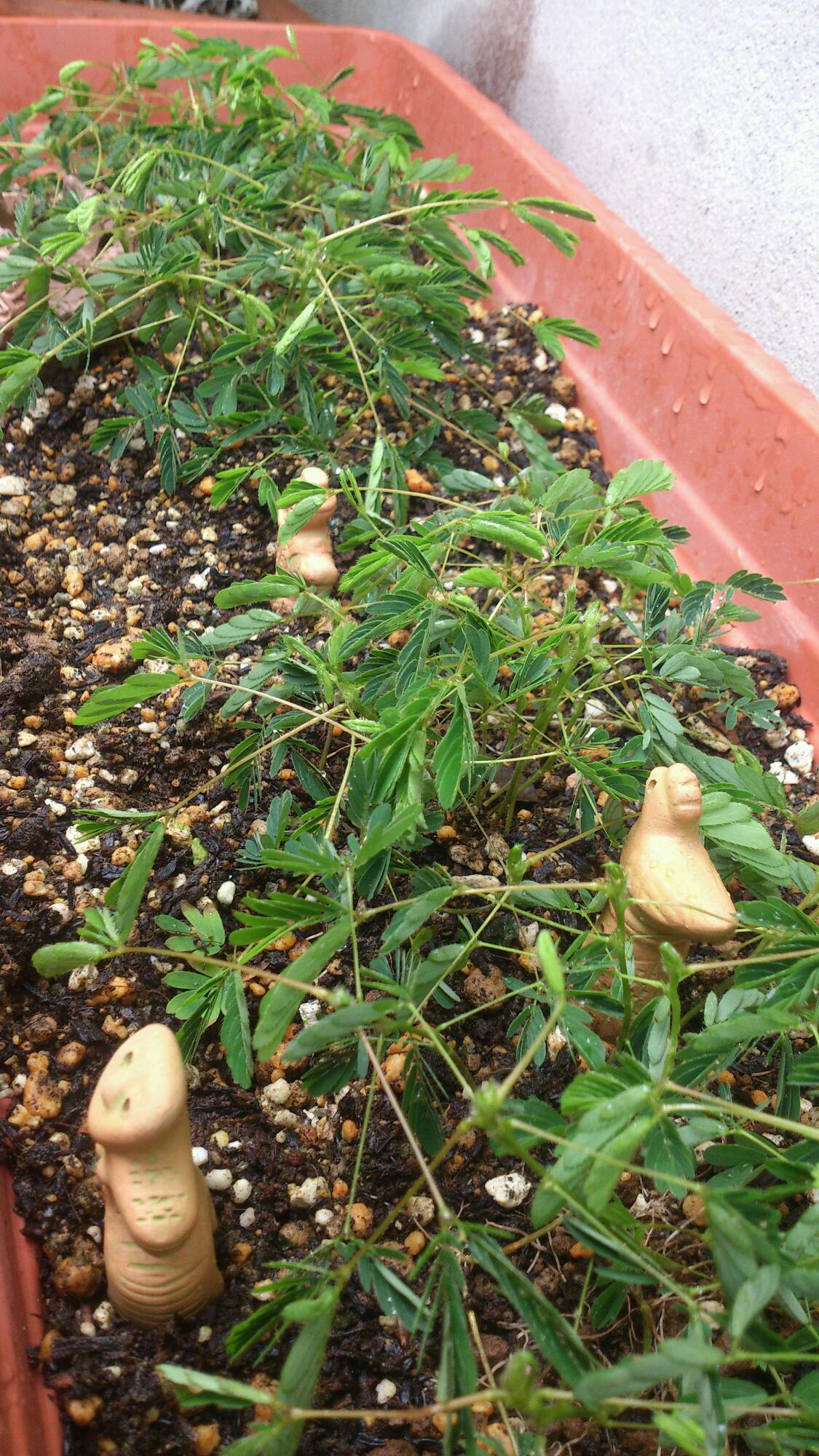 f0280238_225971.jpg