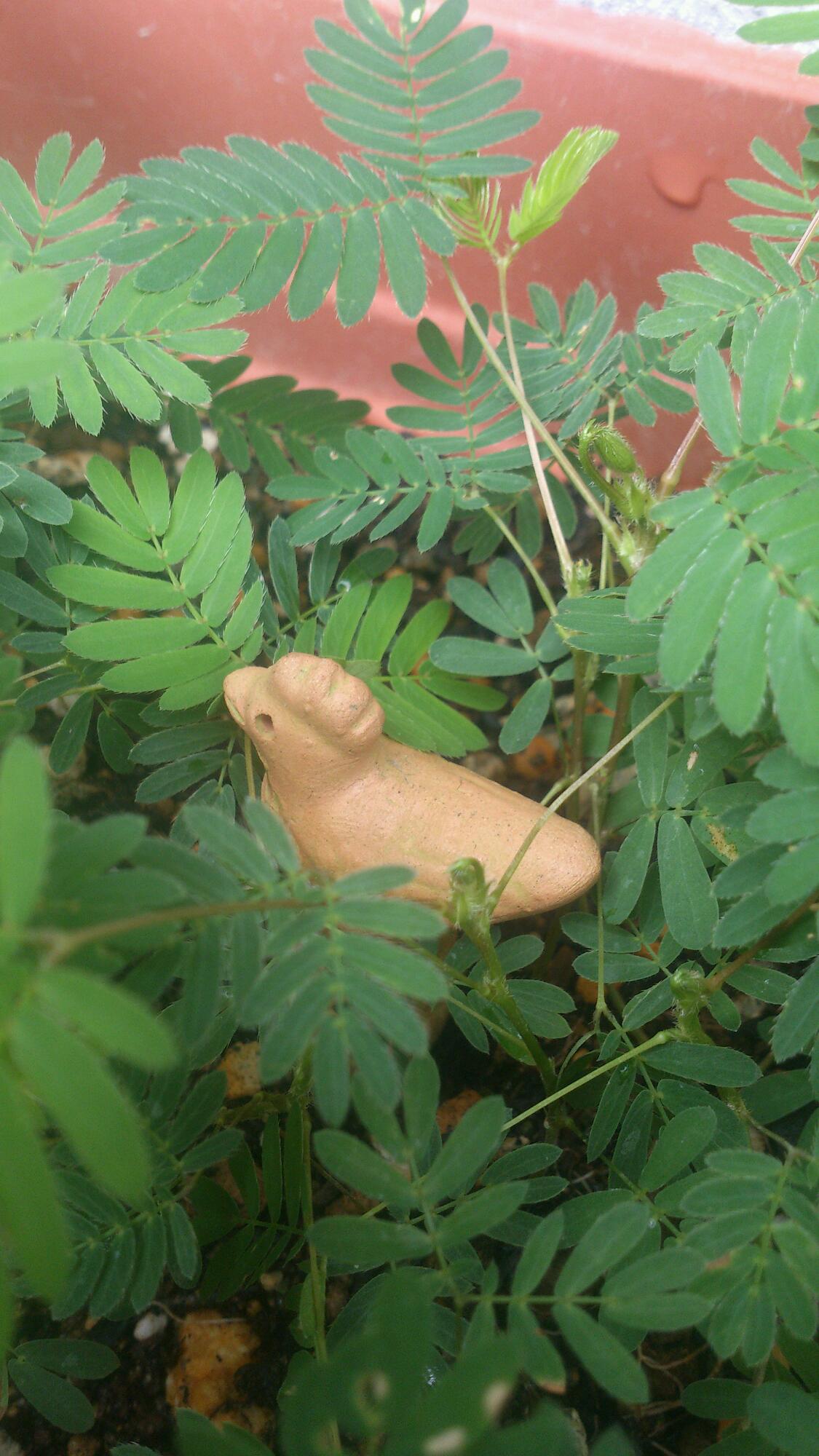 f0280238_2259788.jpg