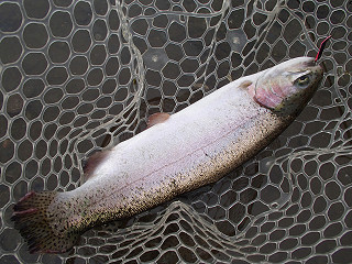 f0065341_1843473.jpg