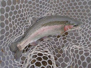 f0065341_1855175.jpg