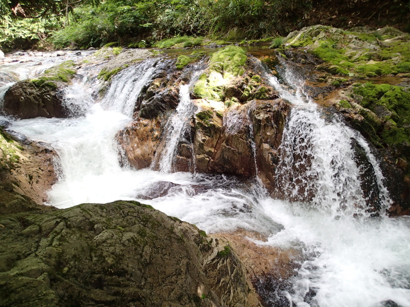 b0190242_13414678.jpg