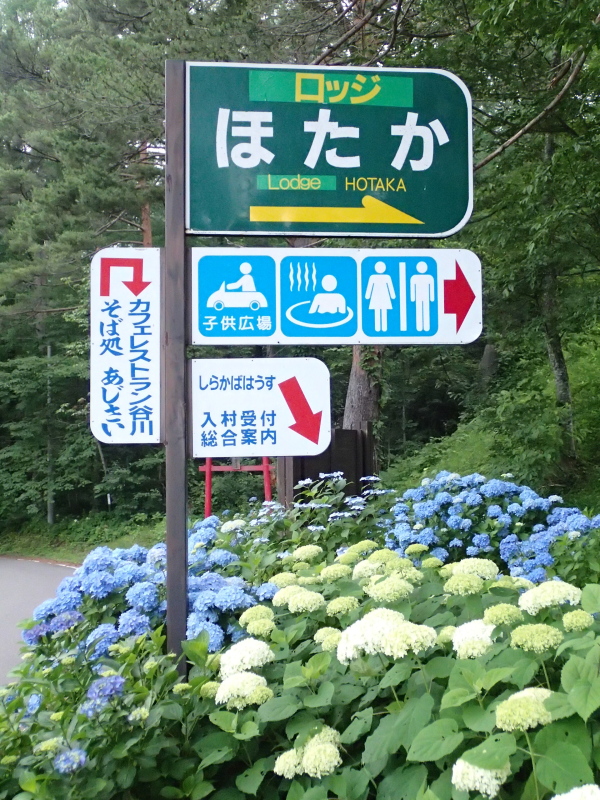 b0190242_13425389.jpg