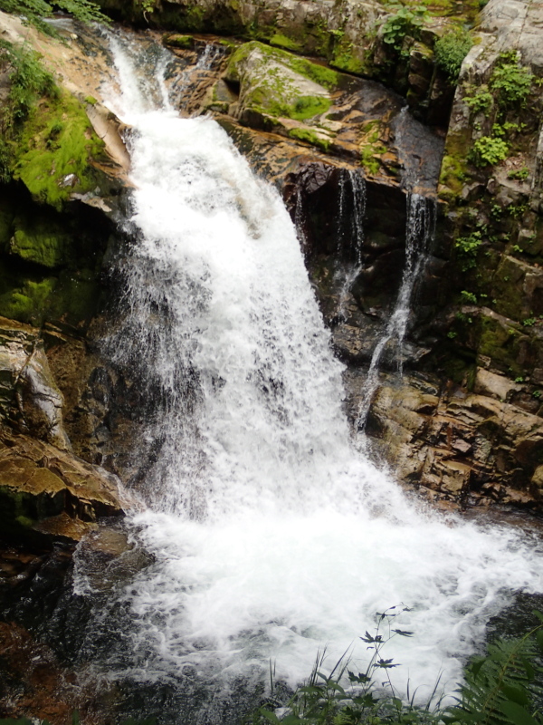 b0190242_1342935.jpg