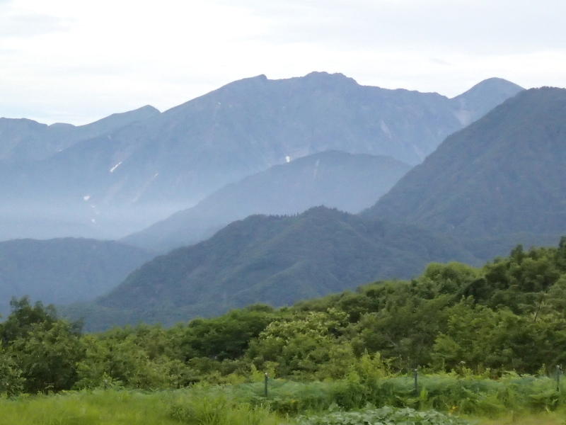 b0190242_13465721.jpg