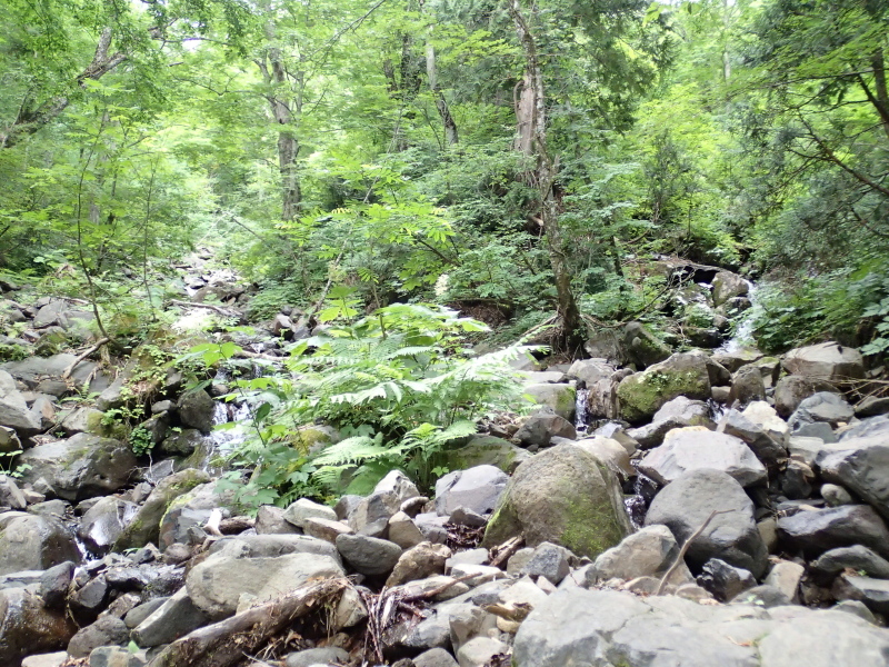 b0190242_13493343.jpg