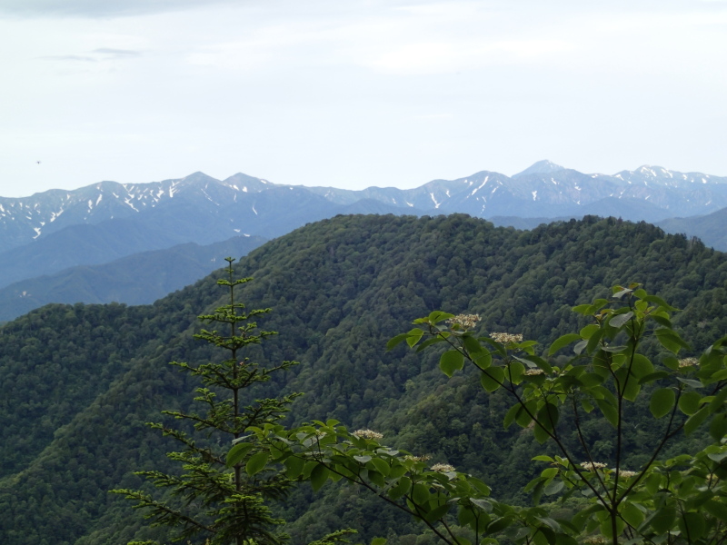 b0190242_13511640.jpg
