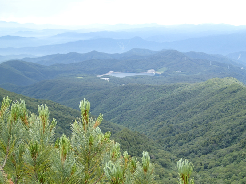 b0190242_13524078.jpg