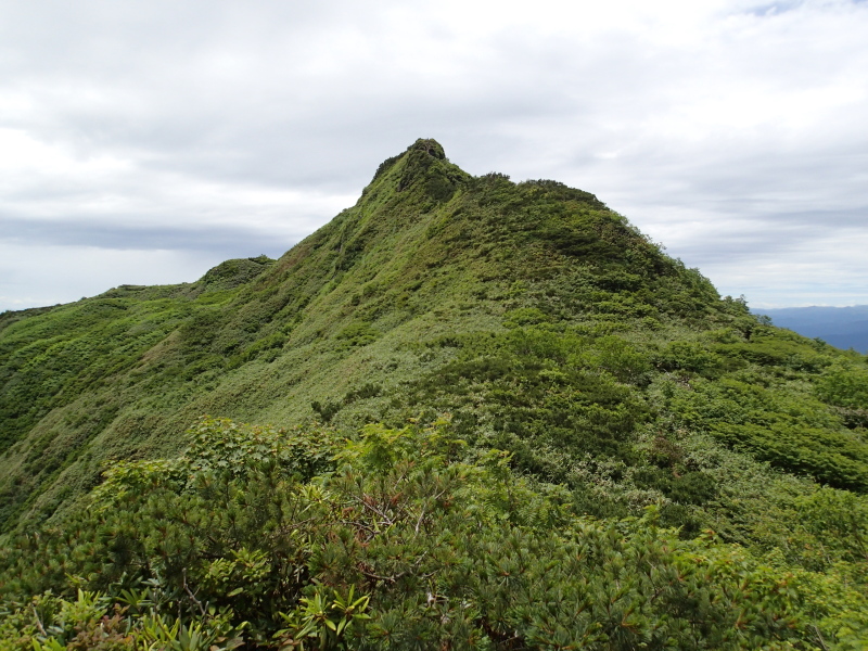 b0190242_13551024.jpg