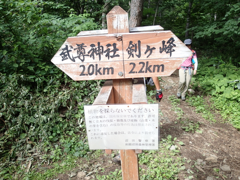 b0190242_1412989.jpg