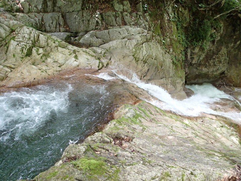 b0190242_1431323.jpg
