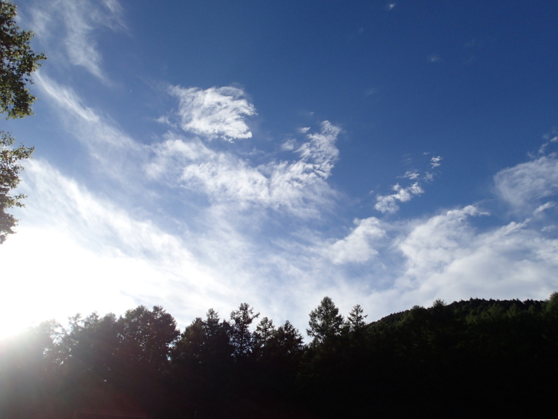 b0190242_1434371.jpg