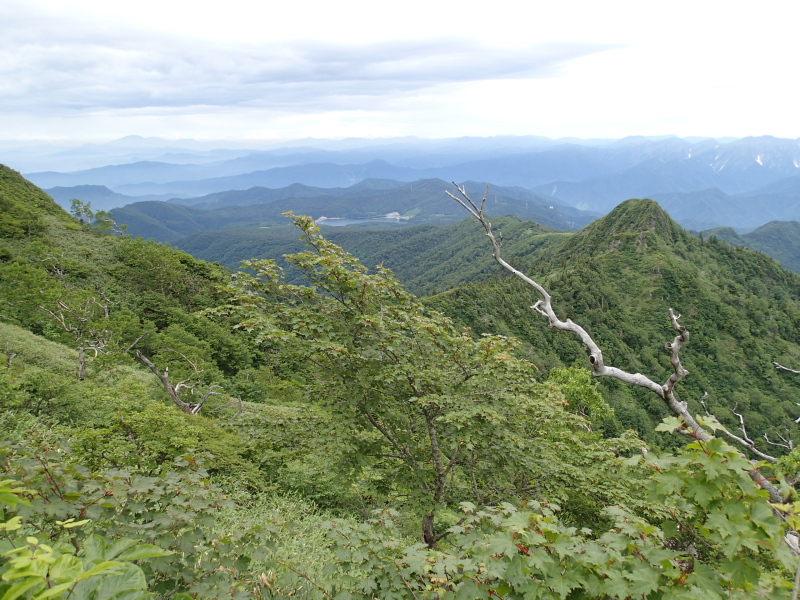 b0190242_1445299.jpg