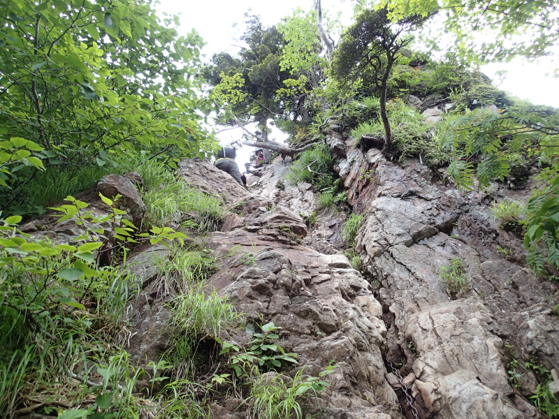b0190242_1471895.jpg
